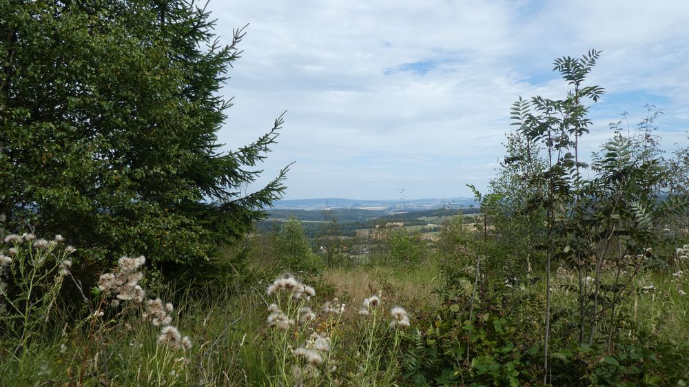 Hermannshöhen
