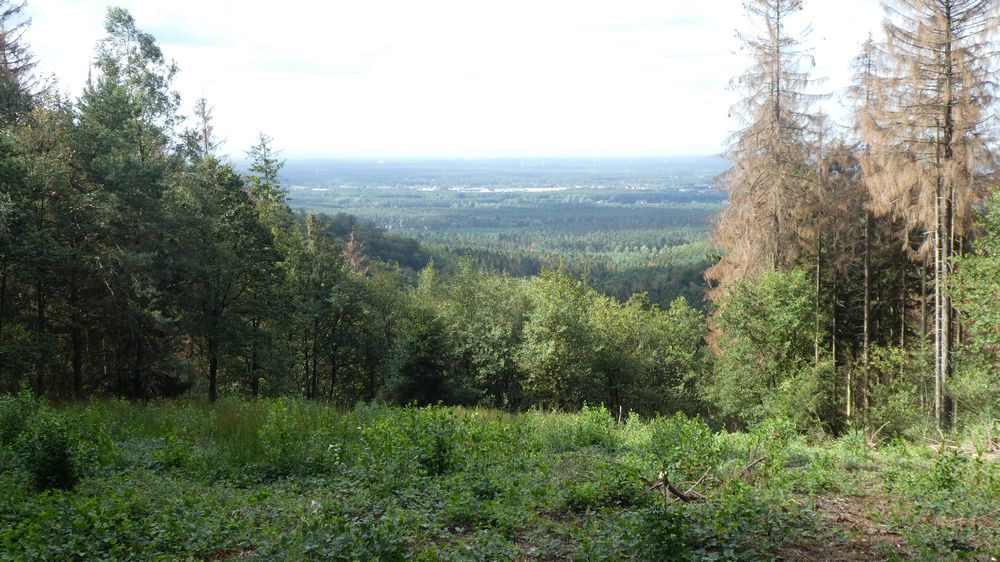 Hermannshöhen