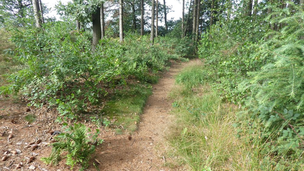 Hermannshöhen