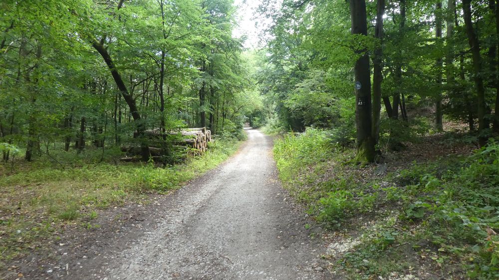 Hermannshöhen