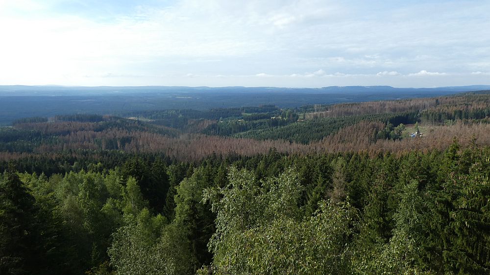 Harzer Hexen Stieg