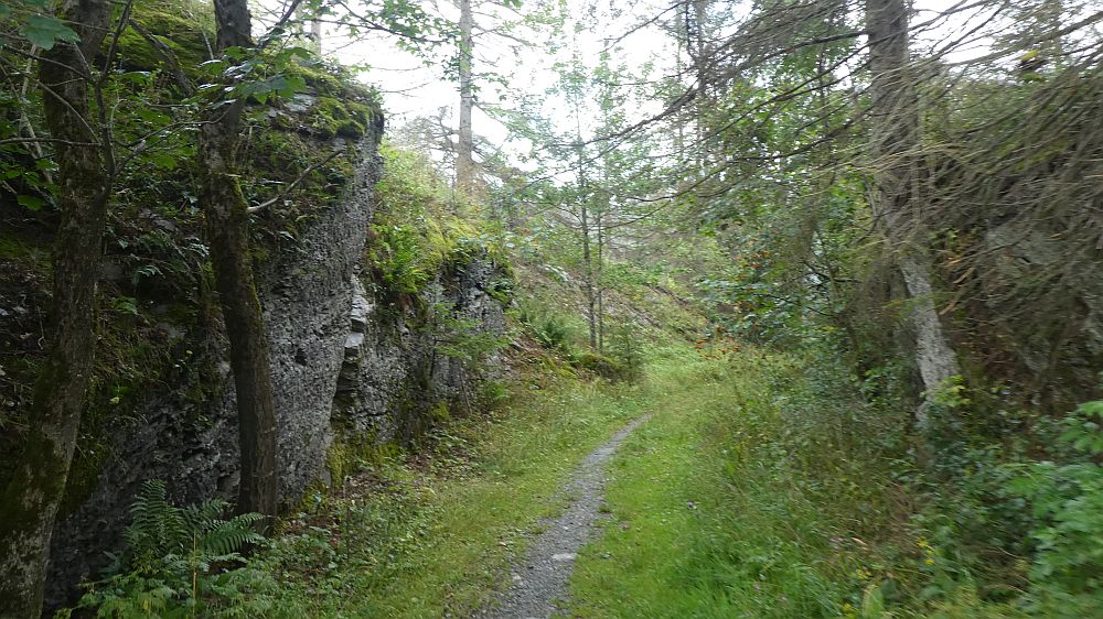 Harzer Hexen Stieg