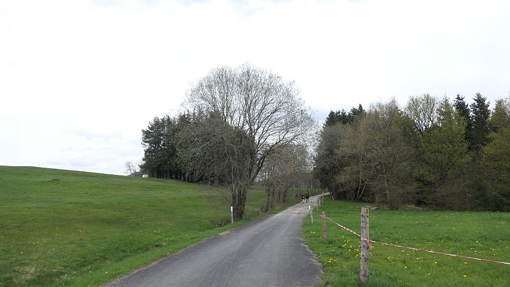 Hochrhoener