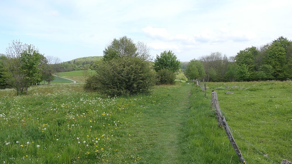 Hochrhoener