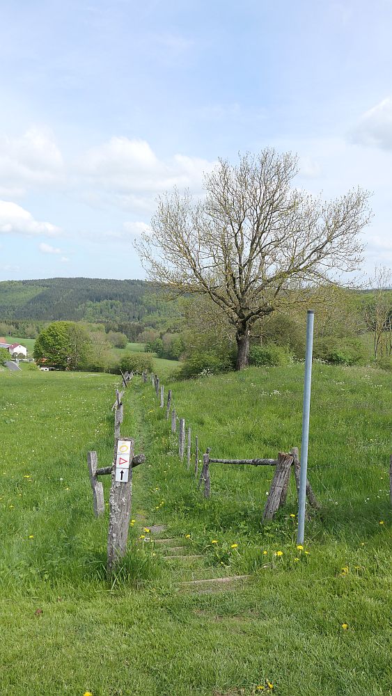 Hochrhoener
