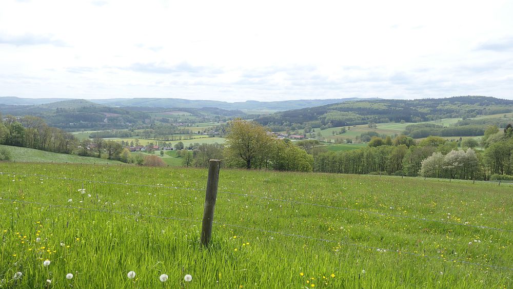 Hochrhoener