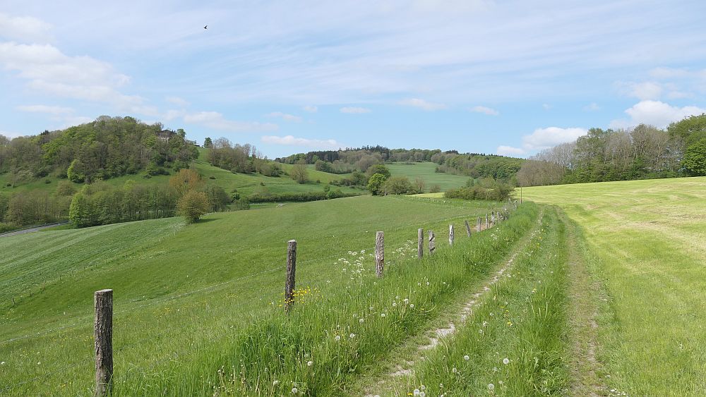 Hochrhoener