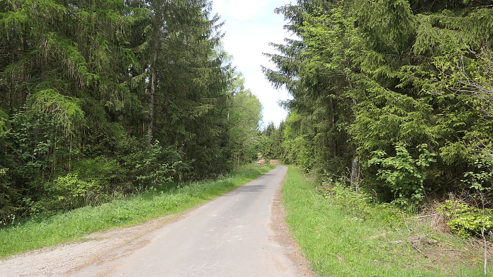 Hochrhoener