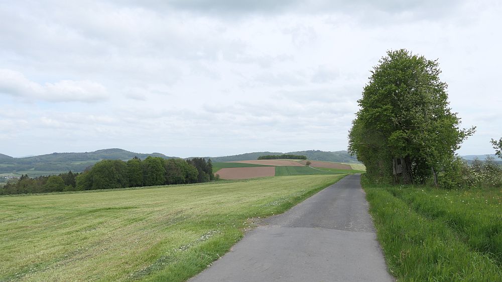 Hochrhoener