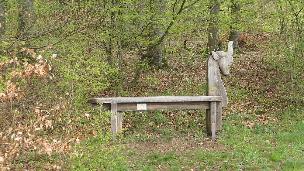 Hochrhoener