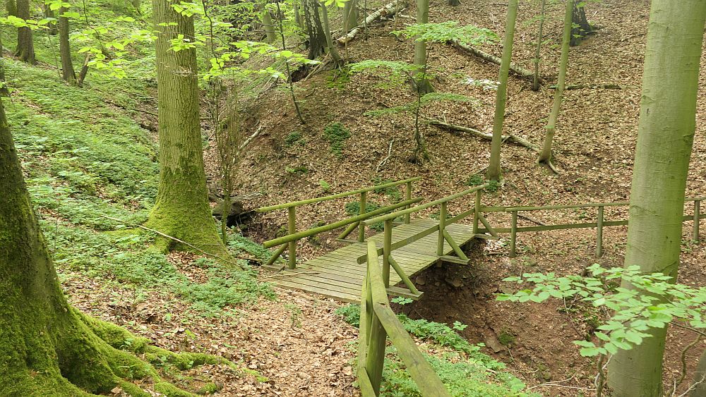 Hochrhoener