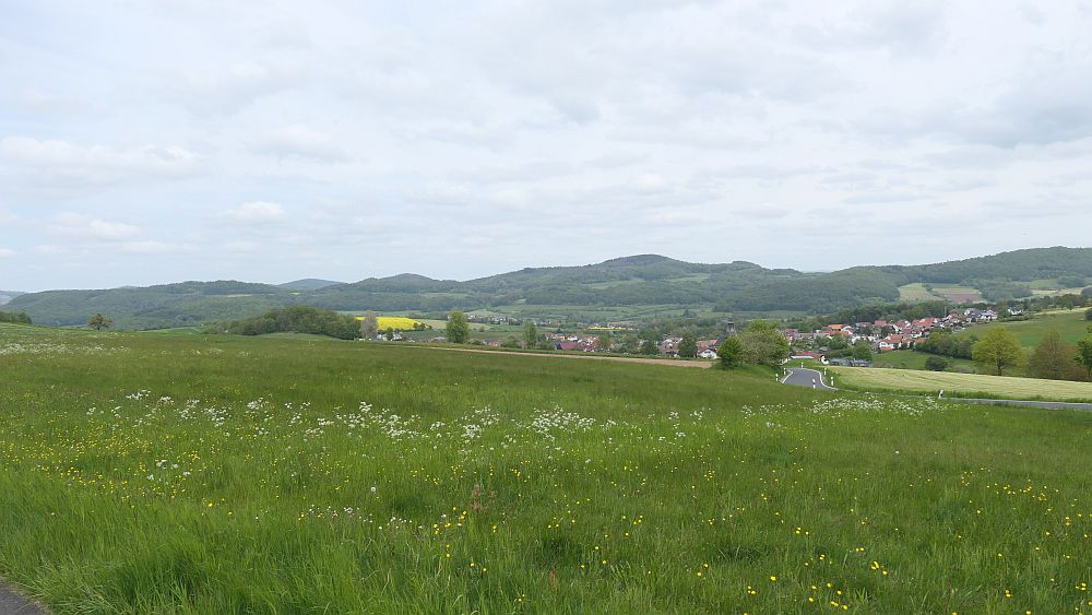 Hochrhoener