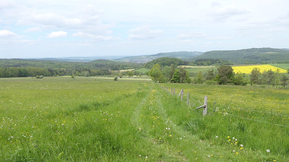Hochrhoener