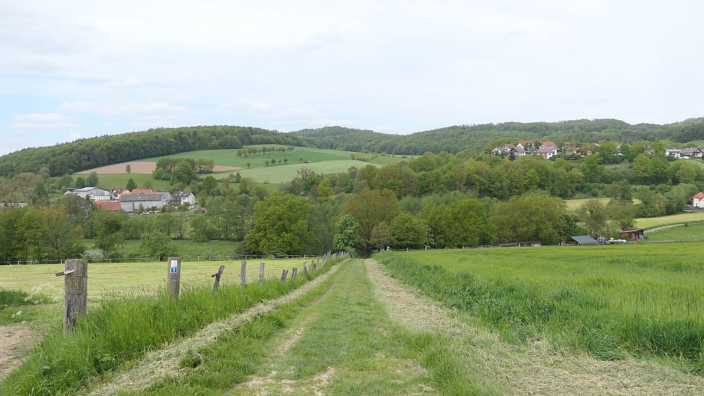 Hochrhoener