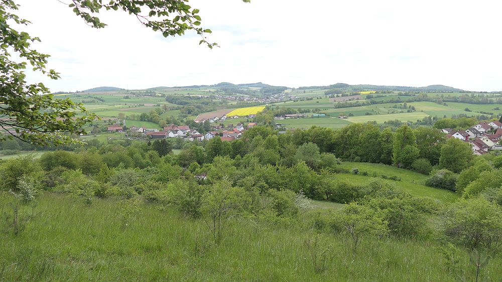 Hochrhoener