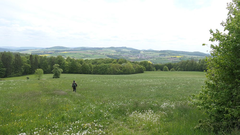 Hochrhoener