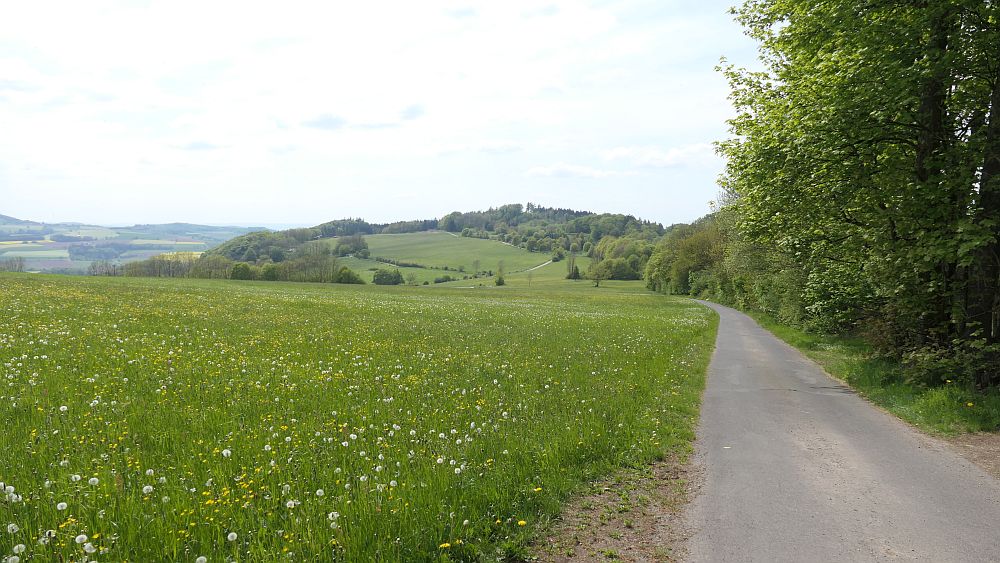 Hochrhoener