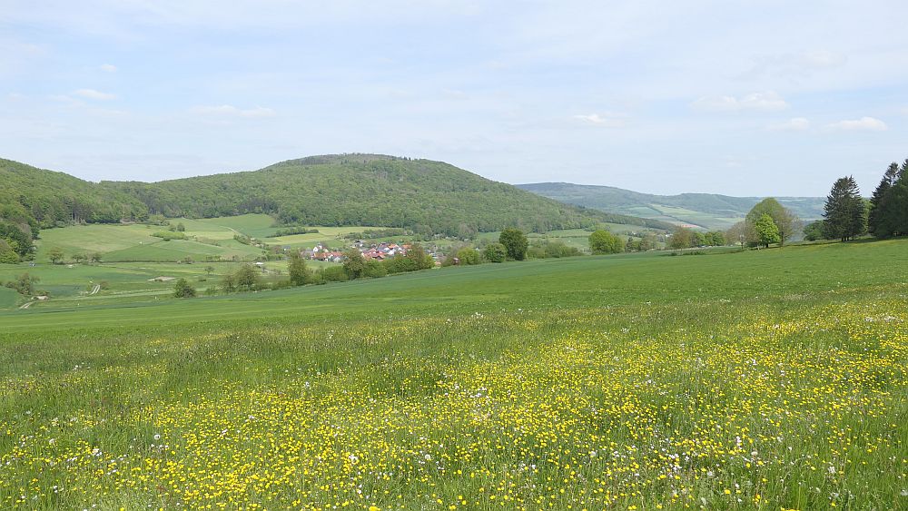 Hochrhoener