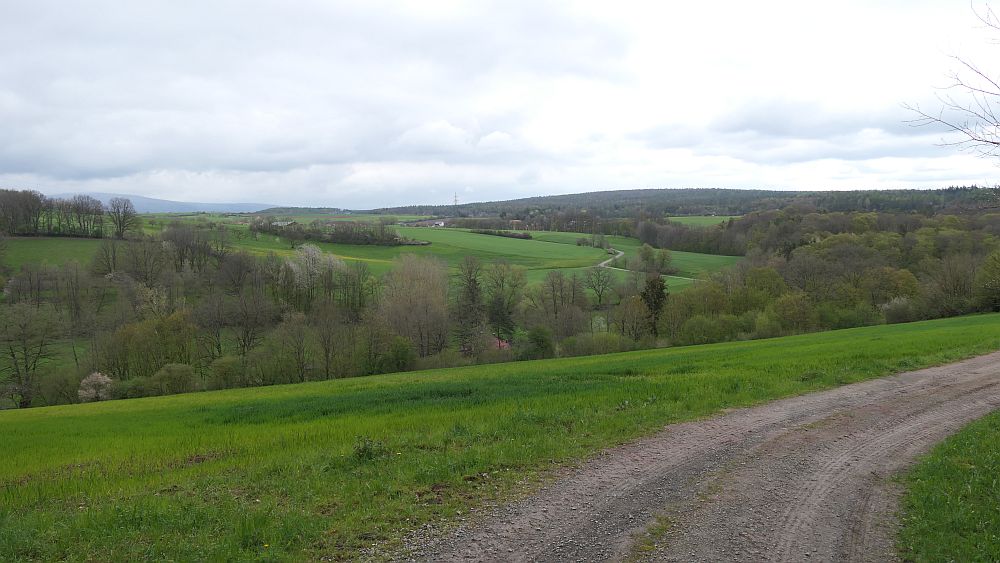 Hochrhoener