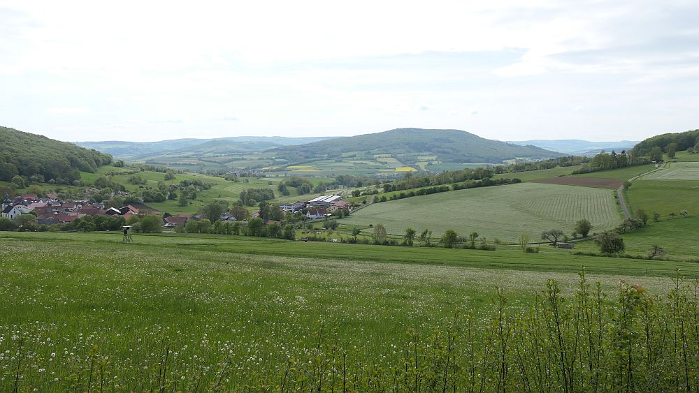 Hochrhoener