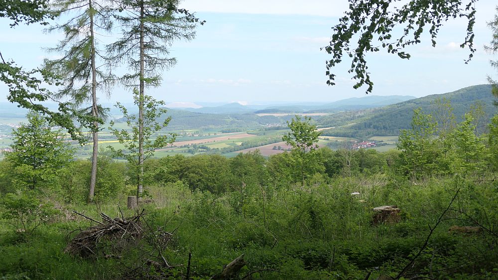 Hochrhoener