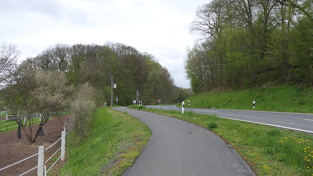 Hochrhoener