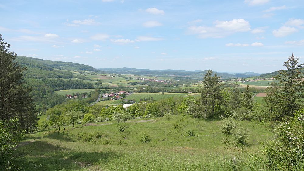 Hochrhoener