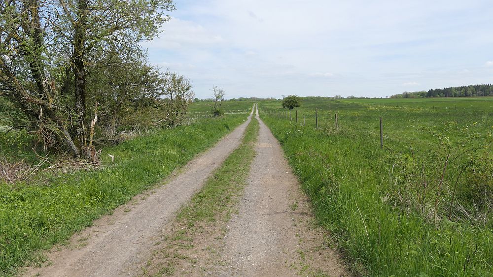 Hochrhoener