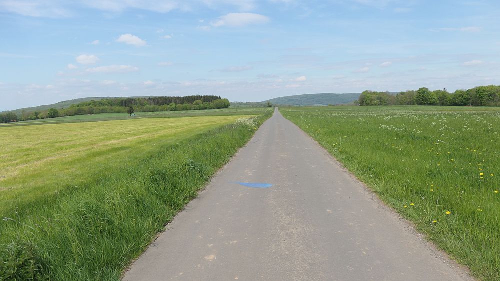 Hochrhoener