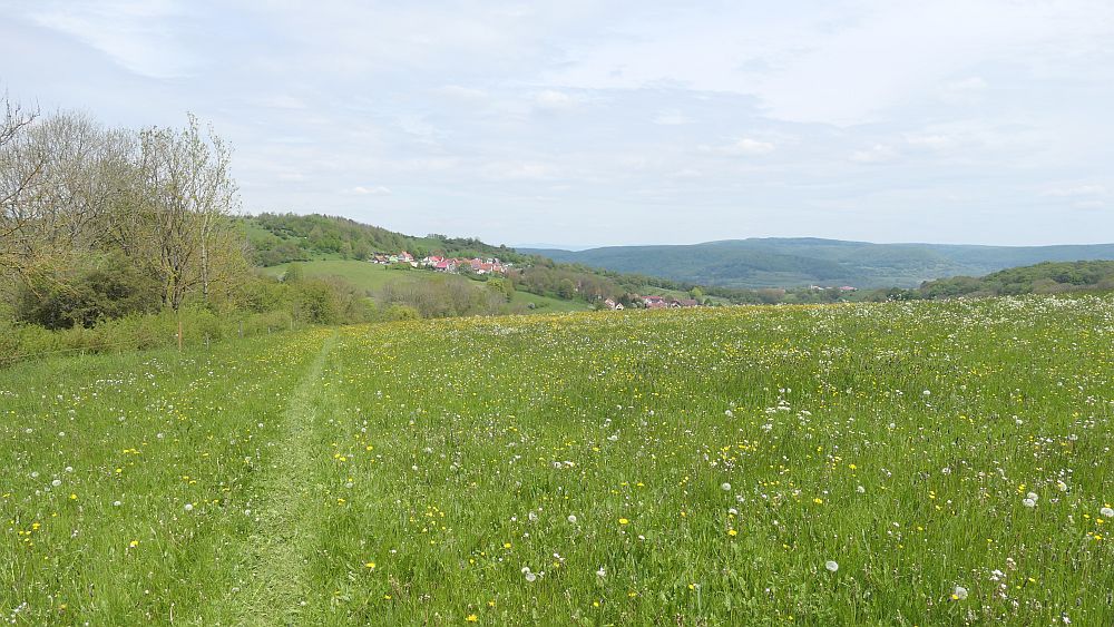 Hochrhoener