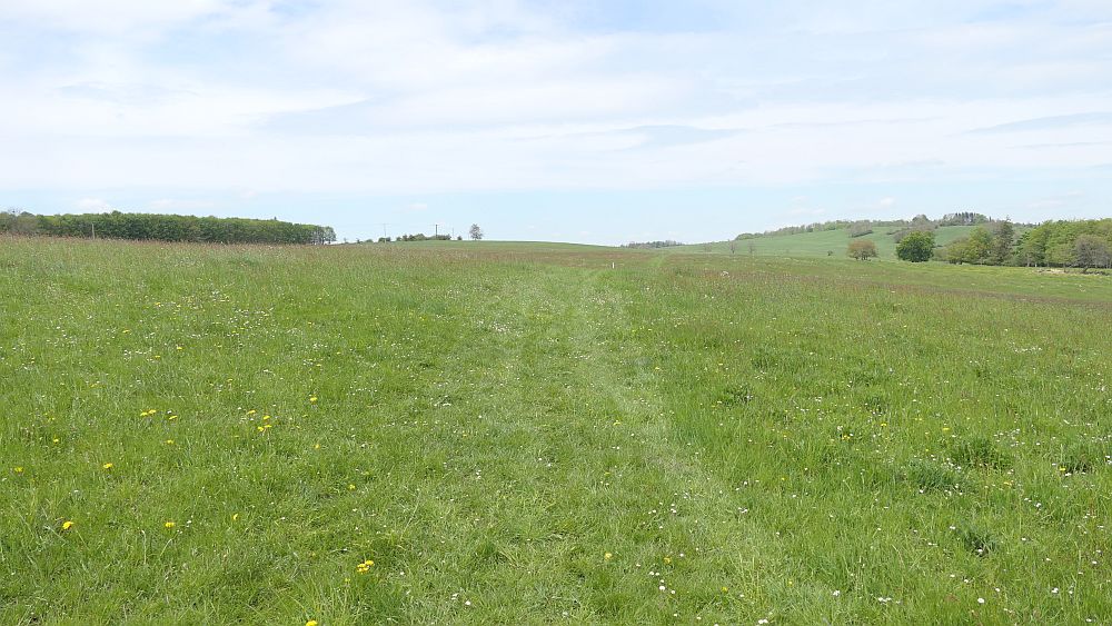 Hochrhoener
