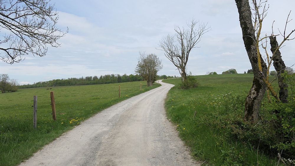 Hochrhoener
