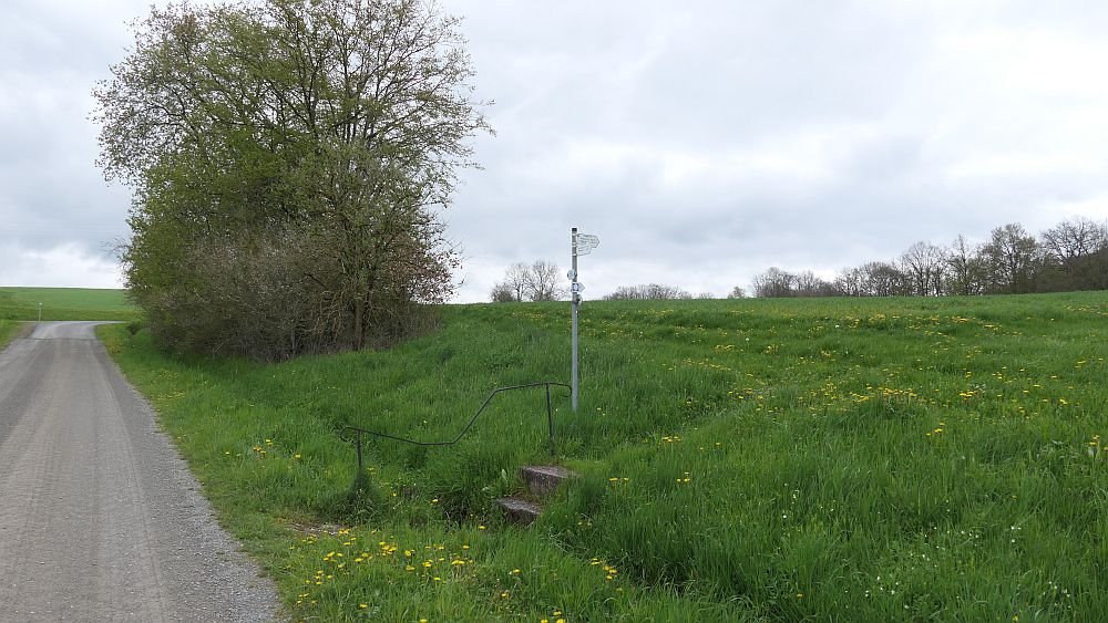 Hochrhoener