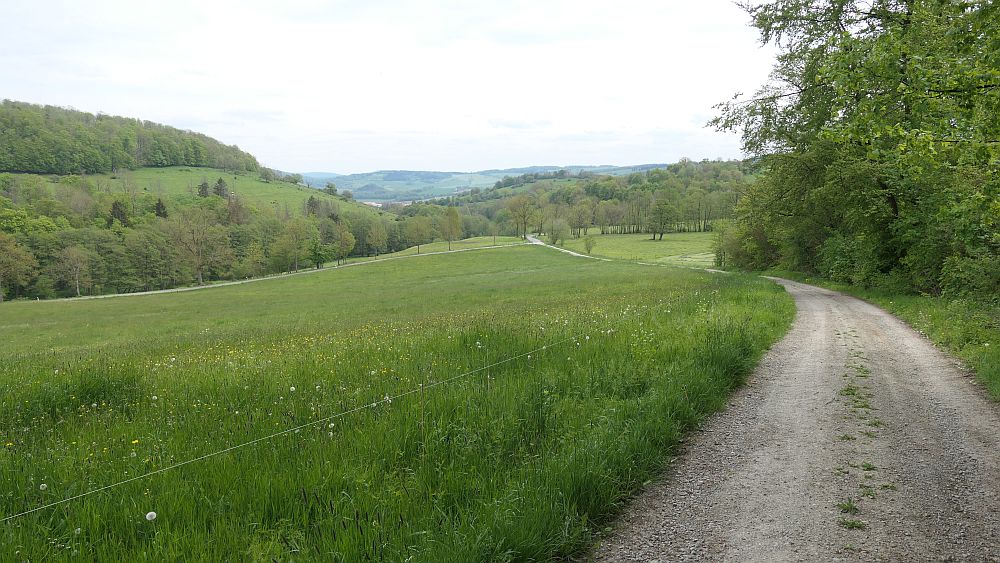 Hochrhoener