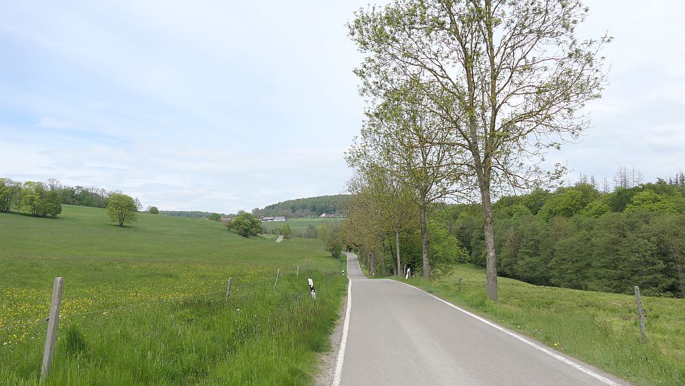 Hochrhoener