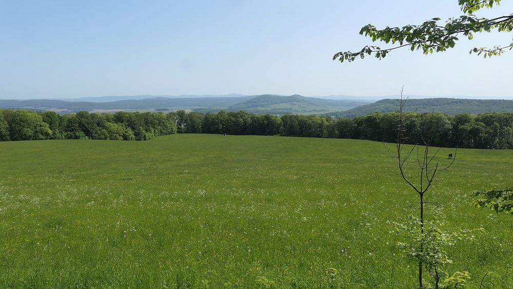 Hochrhoener