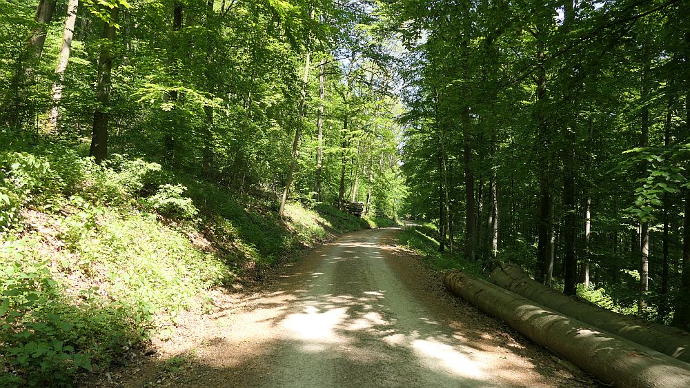 Hochrhoener