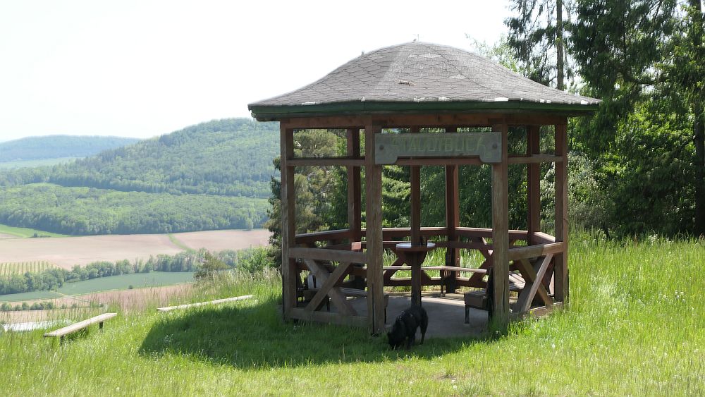 Hochrhoener