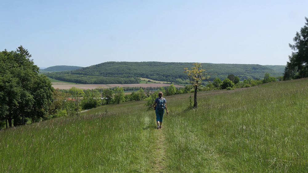 Hochrhoener