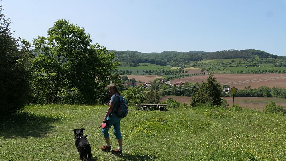 Hochrhoener