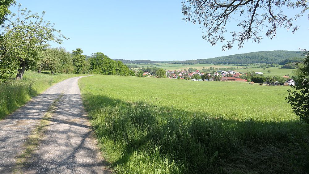Hochrhoener