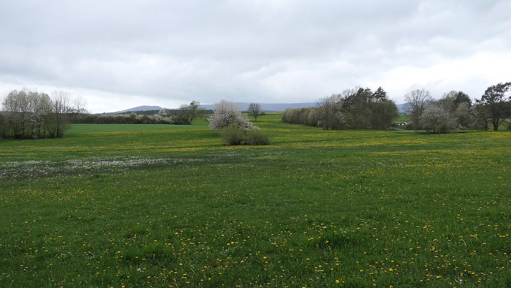 Hochrhoener