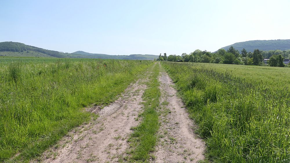 Hochrhoener