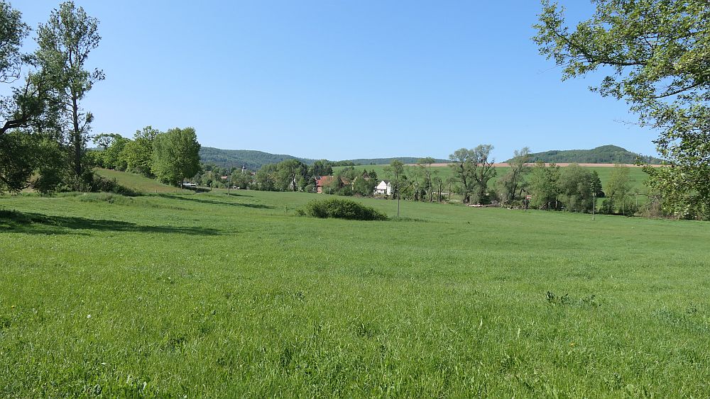 Hochrhoener