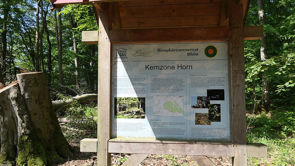 Hochrhoener