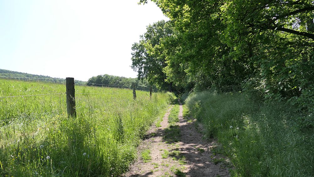 Hochrhoener