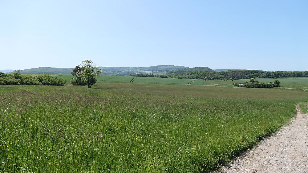 Hochrhoener
