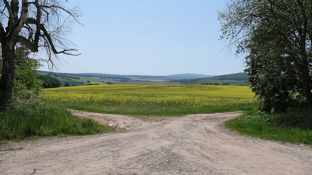 Hochrhoener