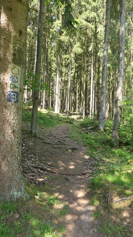Hochrhoener