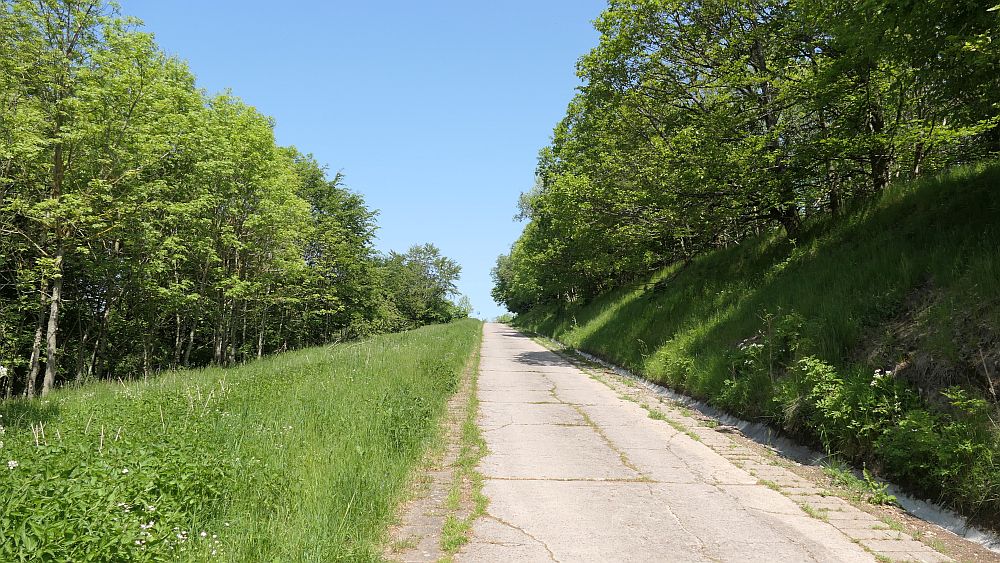 Hochrhoener